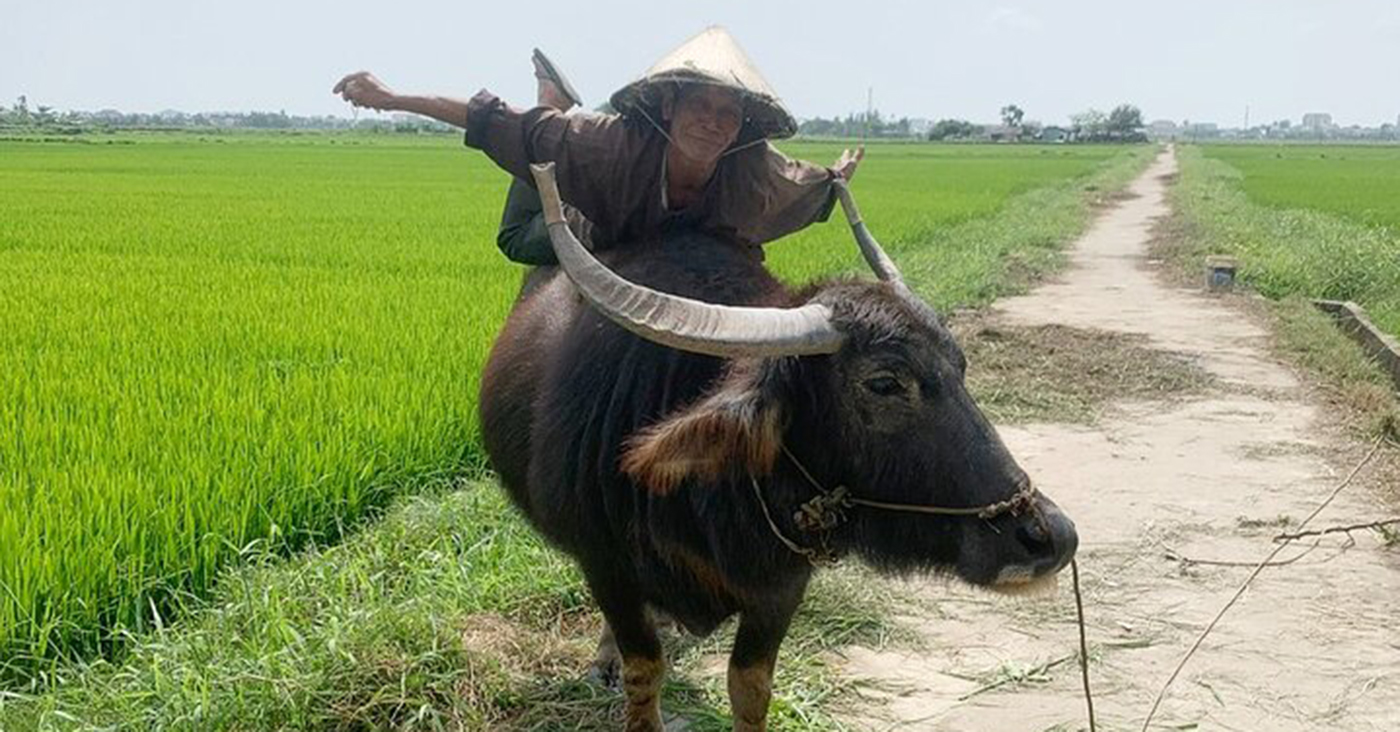 Riding Buffalo Tour