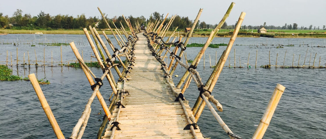 Bridge Bamboo Countryside