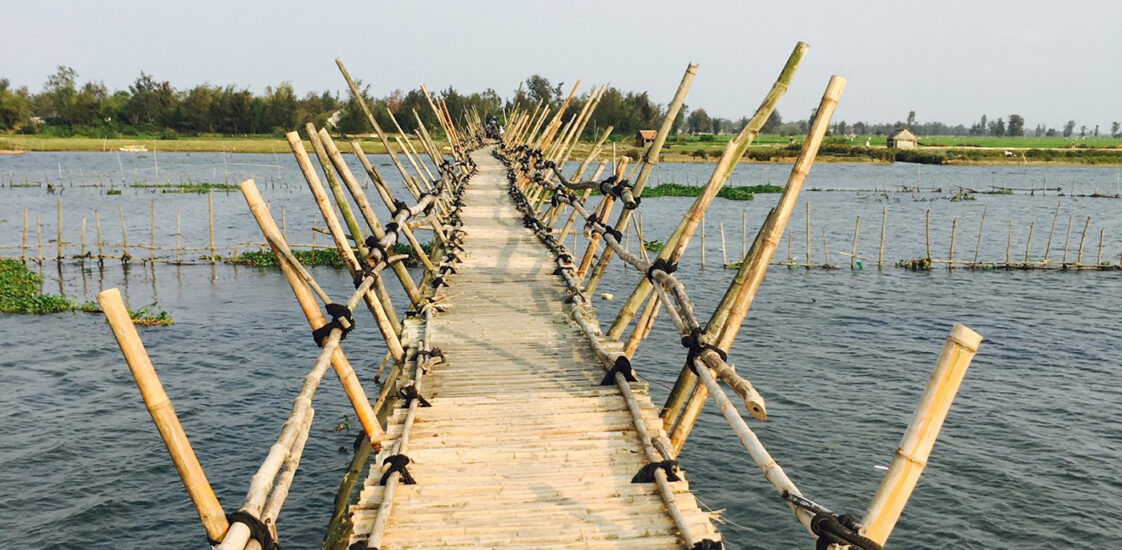 Bridge Bamboo Countryside