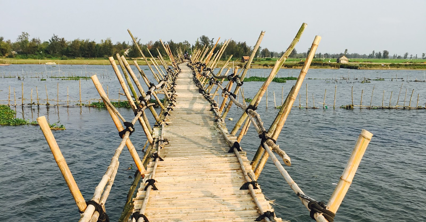 Bridge Bamboo Countryside